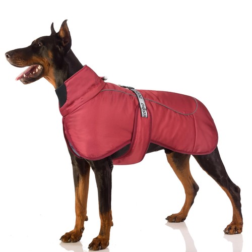 Manteau hiver pour chien - pour,