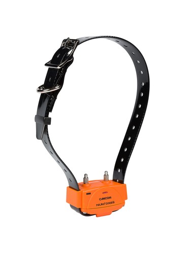 Collier seul dressage pour - seul,