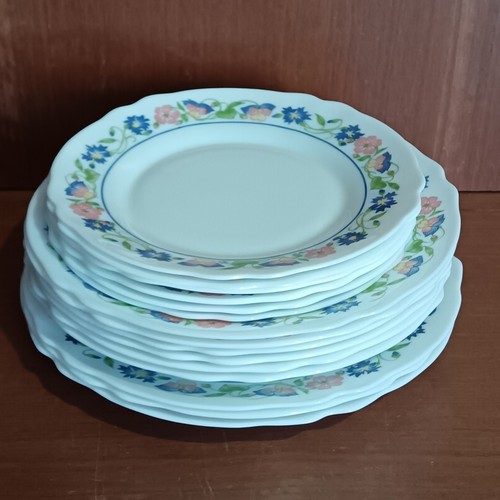 Assiettes arcopal décor - arcopal,