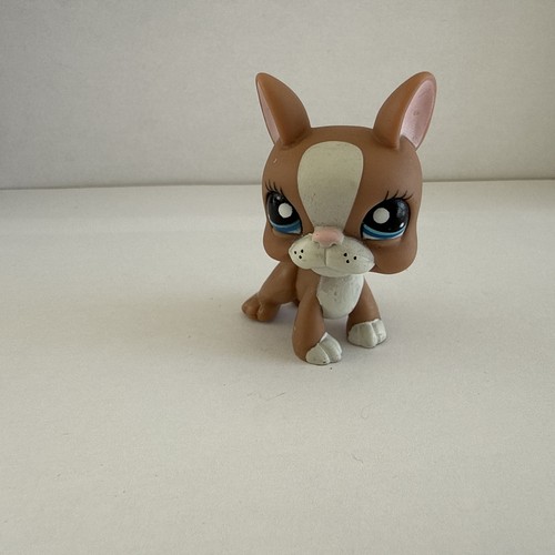 Littlest petshop chien boston - petshop, "chien