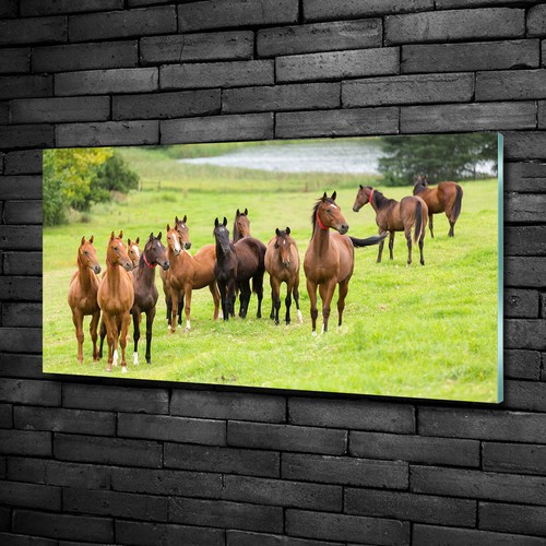 Tulup image sur - sur, verre