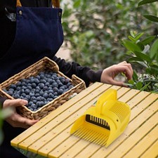 Outil de peigne à myrtilles