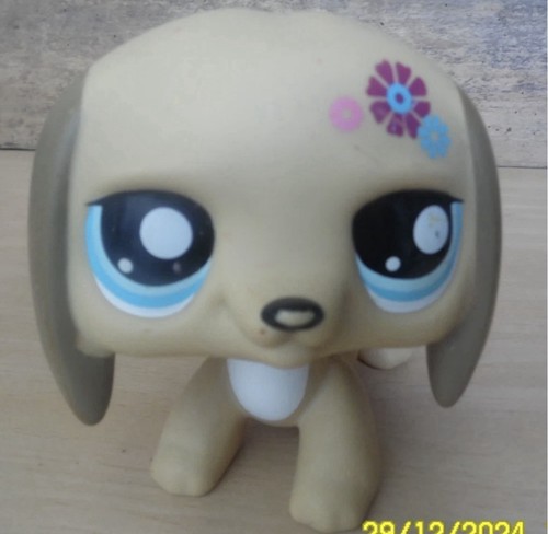 Hasbro little petshop - hasbro,