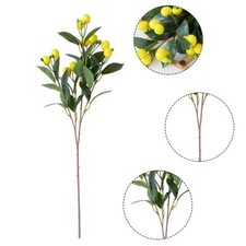 Citron Branche Décorative