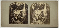 UK Still Life Parrot Photo Thomas Richard Williams 1860 Stereo Albumin