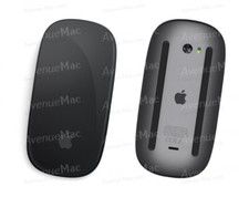 APPLE MAGIC MOUSE GRIS