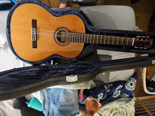 Brand new cordoba paco - new,