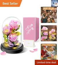 Rose Éternelle Sous Cloche