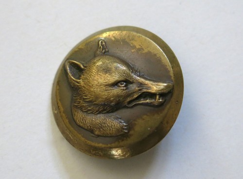 Renard très beau bouton - renard,,