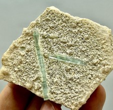 Magnifique spécimen de