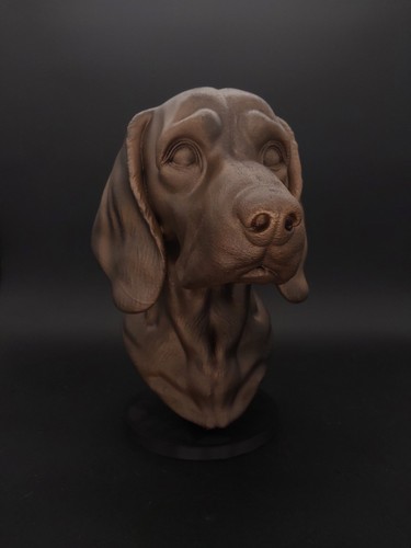 Buste beagle statue chien - -,