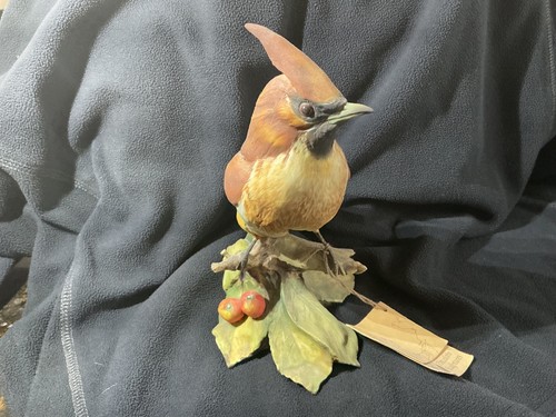 Tay porcelain cedar waxwing - tay,