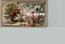 Chromo GUERIN-BOUTRON - Trees: HAZELNUT