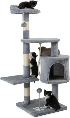 Arbre chat grimper - arbre,