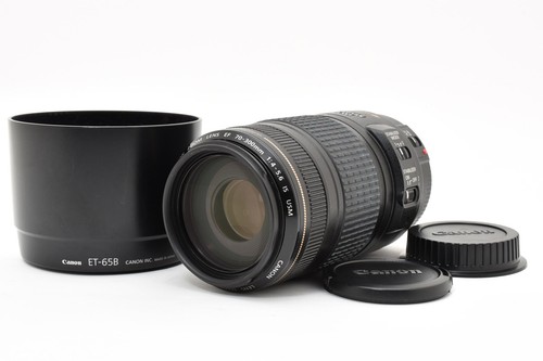 Objectif canon 300mm - objectif, 70-300mm