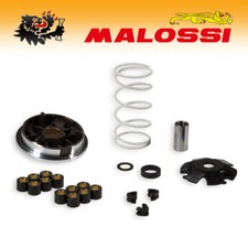 519994 [MALOSSI] Variateur