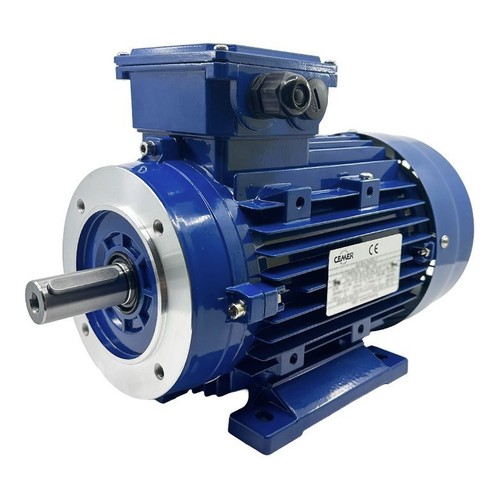 Moteur electrique triphase ie1 - electrique,