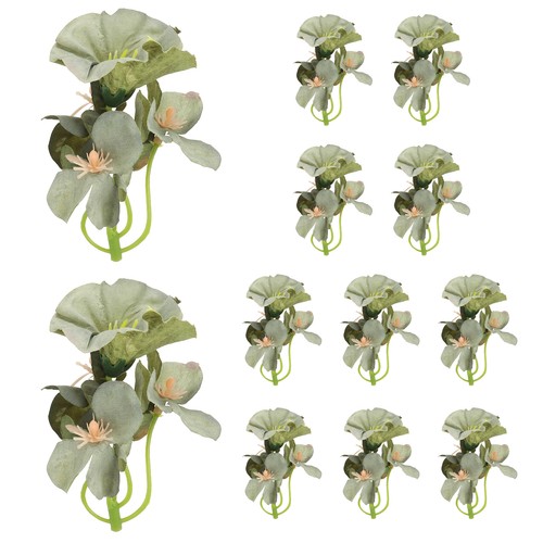 12pcs fleur orchidée - fleur, d'orchidée