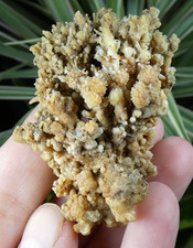 Aragonite Salsigne 5.5x4cm France mineral collection ancien fluorescent UV vert