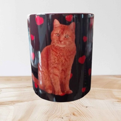Mug chat entouré - , de