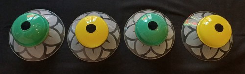 Lot tulipes lustre - tulipes,