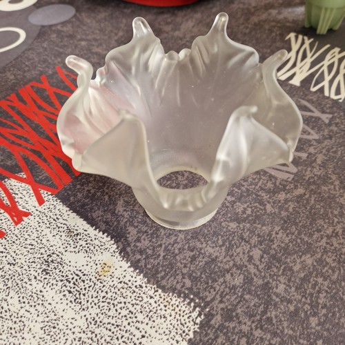 Tulipe globe verre - tulipe,