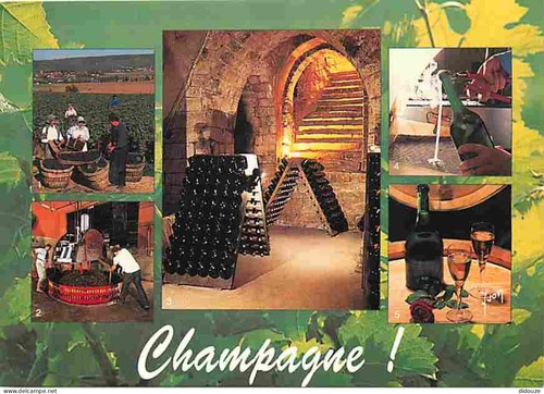 Carte postale vignes - vignes,