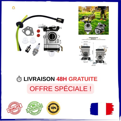 Carburateur débroussailleuse