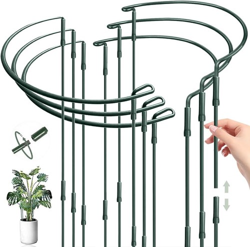 Tuteur pivoine demi cercle - pivoine,