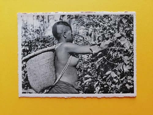 Afrique jeune fille - jeune,