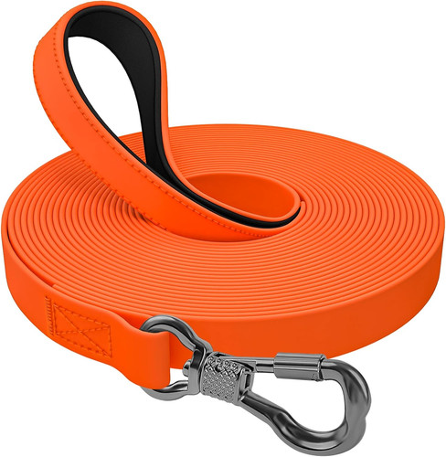 Longe pour chien 5m 10m - pour,