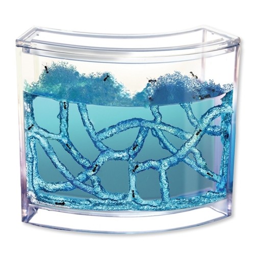 Aquarium naturel pour