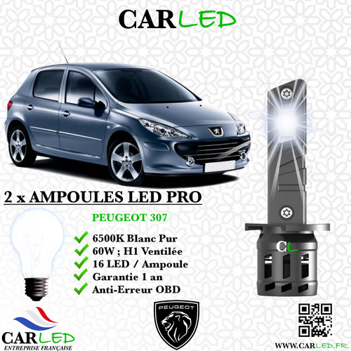 Kit ampoule led peugeot - ampoule,