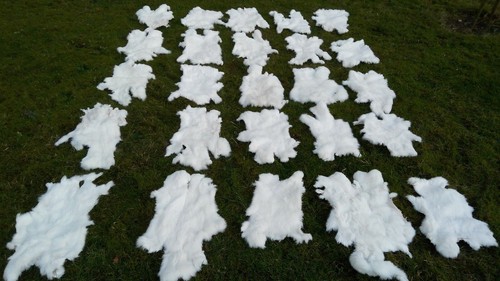 10x peaux lapin - 10x, de