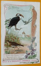 CHROMO 1910-1930 CHOCOLAT