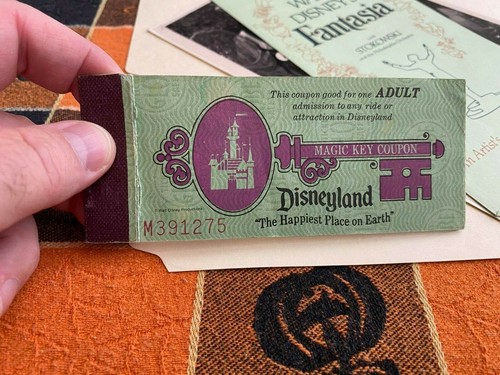 Disneyland magic kingdom - disneyland,