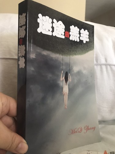 迷途的羔羊/2020年新书?