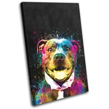 Colourful Cute Staffy Dog