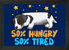 Jack Russel Terrier Puppy