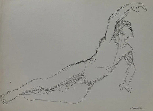 Superbe masculin drawing - superbe, nu