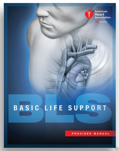 Basic life support provider - support,