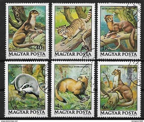 Animaux faune sauvage hongrie - animaux,