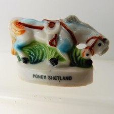 fève -  PONEY SHETLAND GM