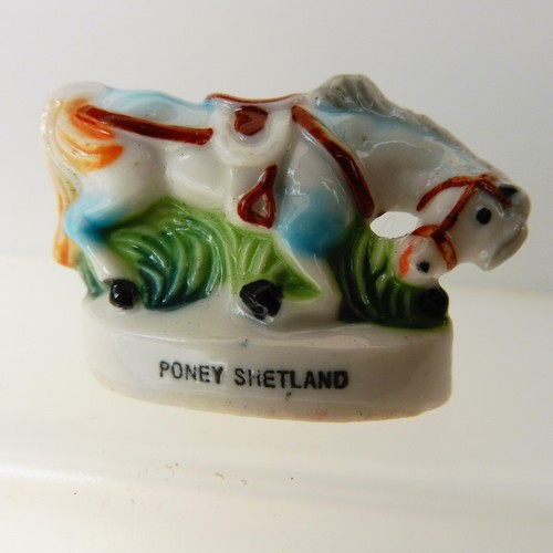 Fève poney shetland gm - fève,