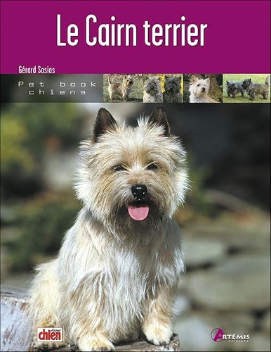 Cairn terrier - terrier,