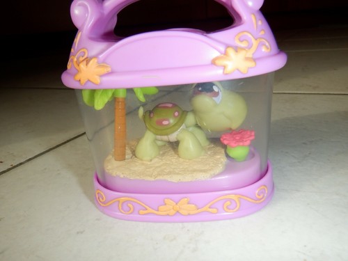 Littlest petshop tortue dans