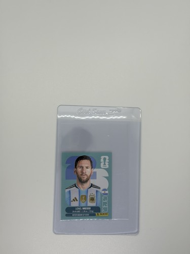Panini fifa world cup - world,