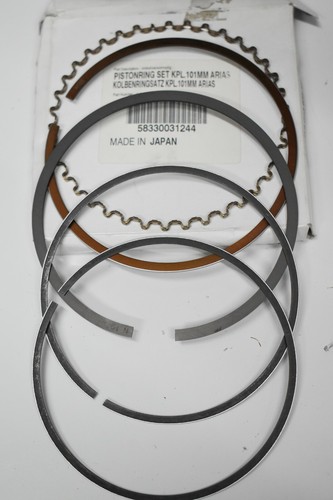 Jeu segments 101 ktm - 101,
