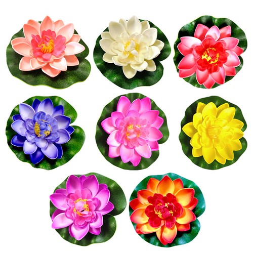 Pcs plantes flottantes - 8,