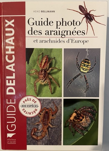 Guide photo des araignées - , et